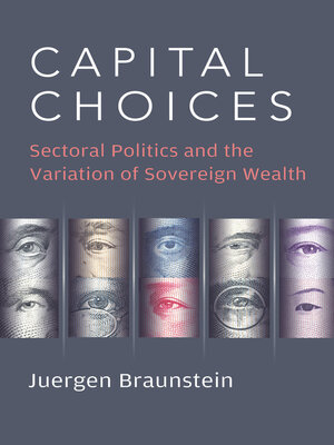 cover image of Capital Choices